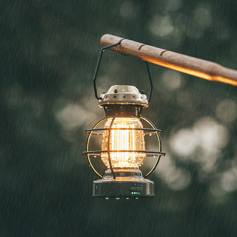 Lighted lantern hanging from a branch during rain