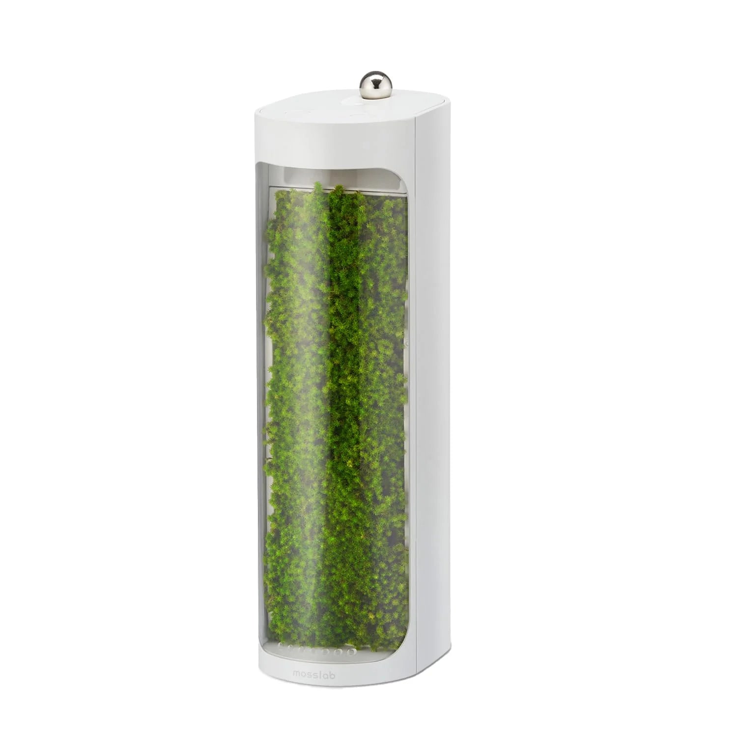 White cylindrical container with green moss-like material on a white background