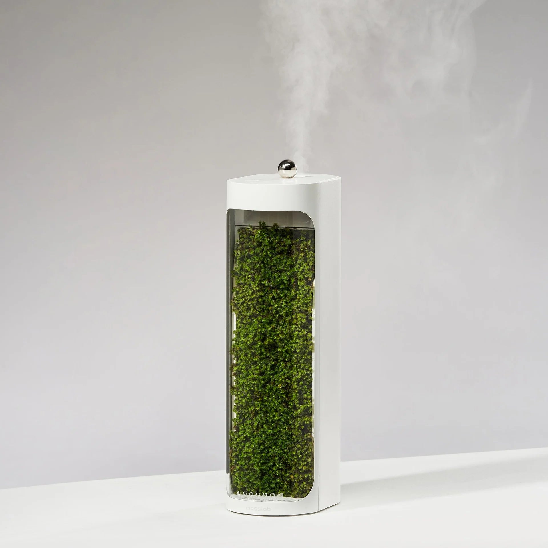 Tall white container with green moss-like material on a gray background