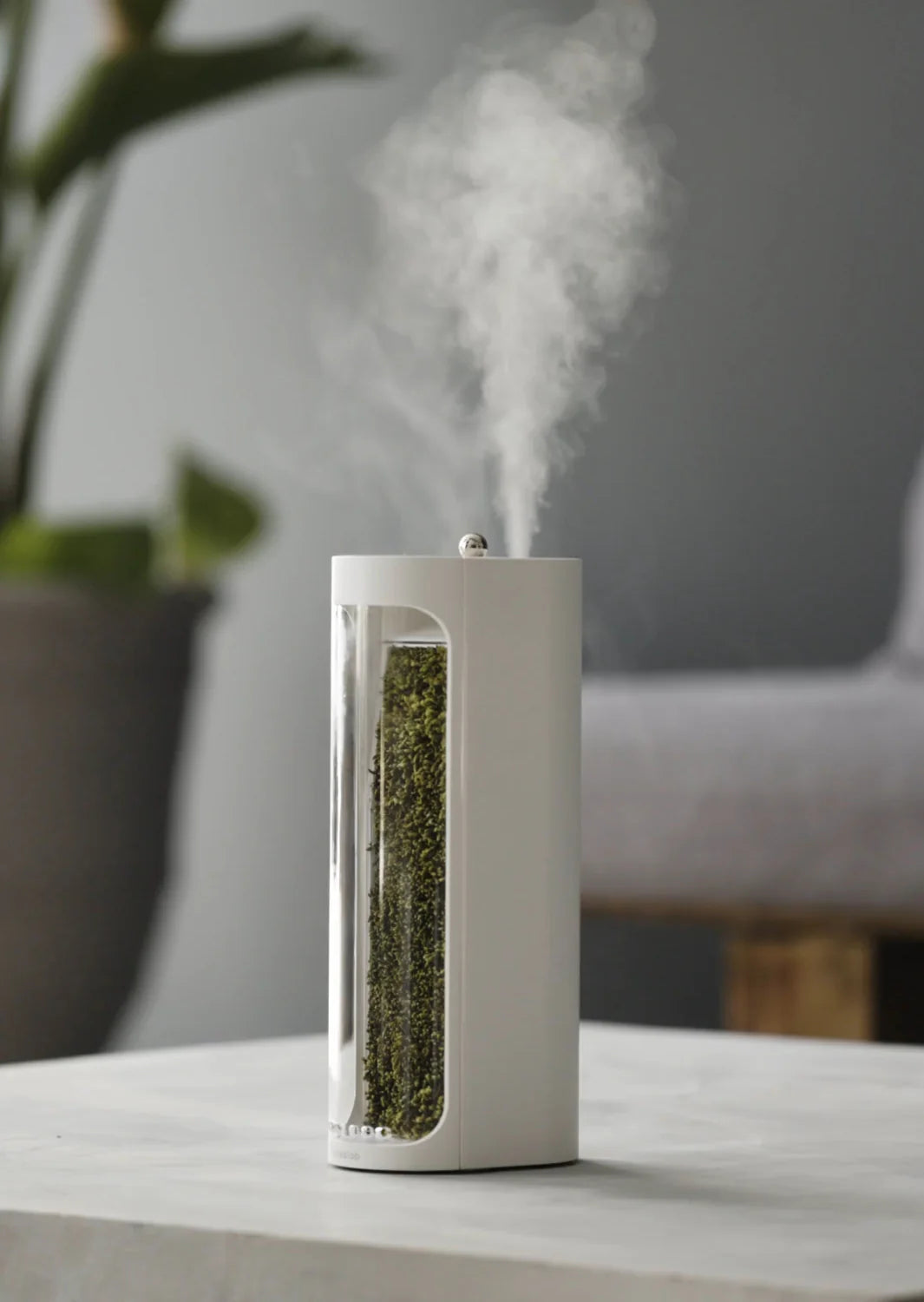 White diffuser with steam emitting from it on a table, with a blurred indoor background.