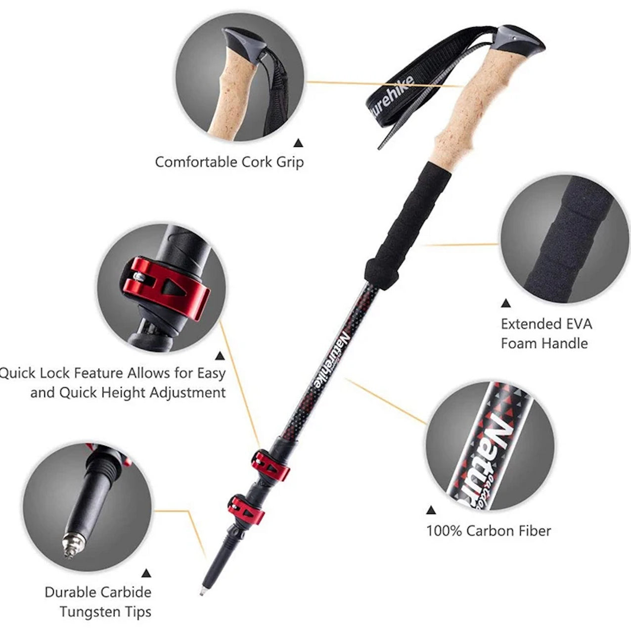 Trekking pole with features highlighted on a white background