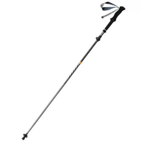Black and gray hiking pole on a white background