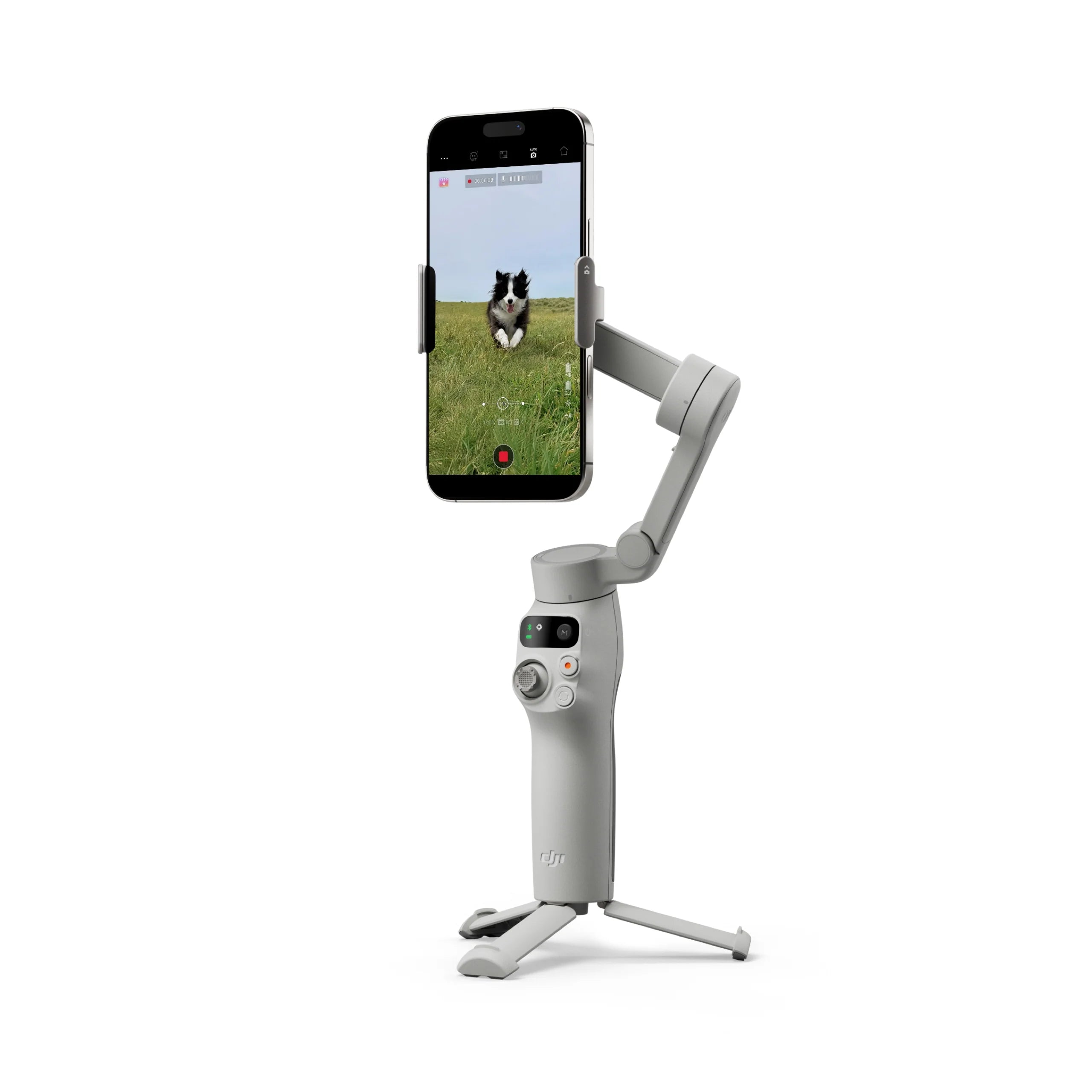 Smartphone mounted on a gimbal with a dog in a field displayed on the screen, on a white background