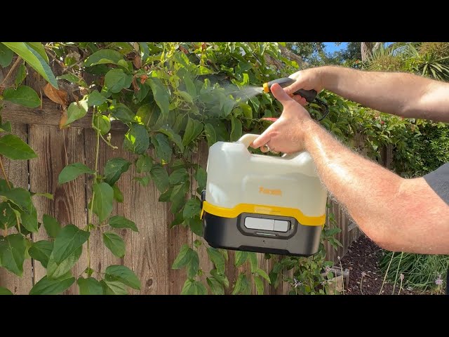 Person using a handheld garden sprayer on plants with a wooden fence and greenery in the background